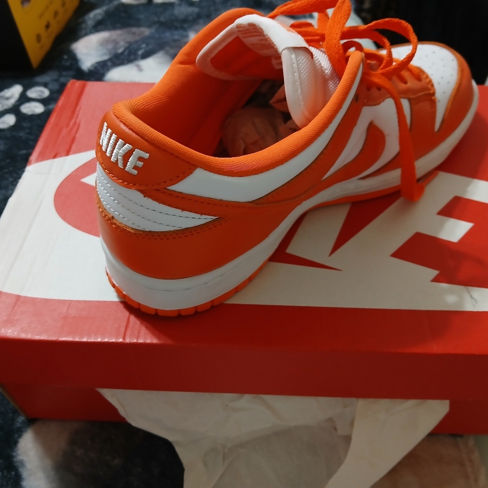 Nike Dunk Low Sp